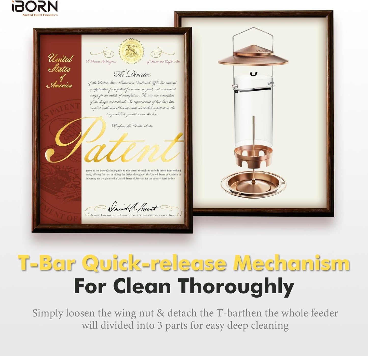 iBorn Metal Bird Feeders for Outdoors,Easy Clean Bird Seed Feeder,Hanging Bird Feeder for Seeds with Gift Box,3-Second Refill Bird Feeder,Nickle 6 Port (Seed is not Included)