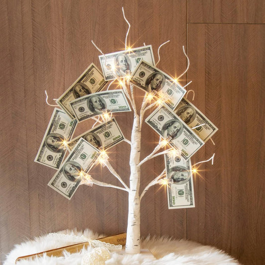 EAMBRITE Money Tree Gift Holder, Lighted Birch Tree 2FT 24LED, Battery/USB Powered Timer Light Up Display Twig Gift Card Tree with 6 Clear Clips and 6 Cards for Home Christmas Graduation Photo Memo