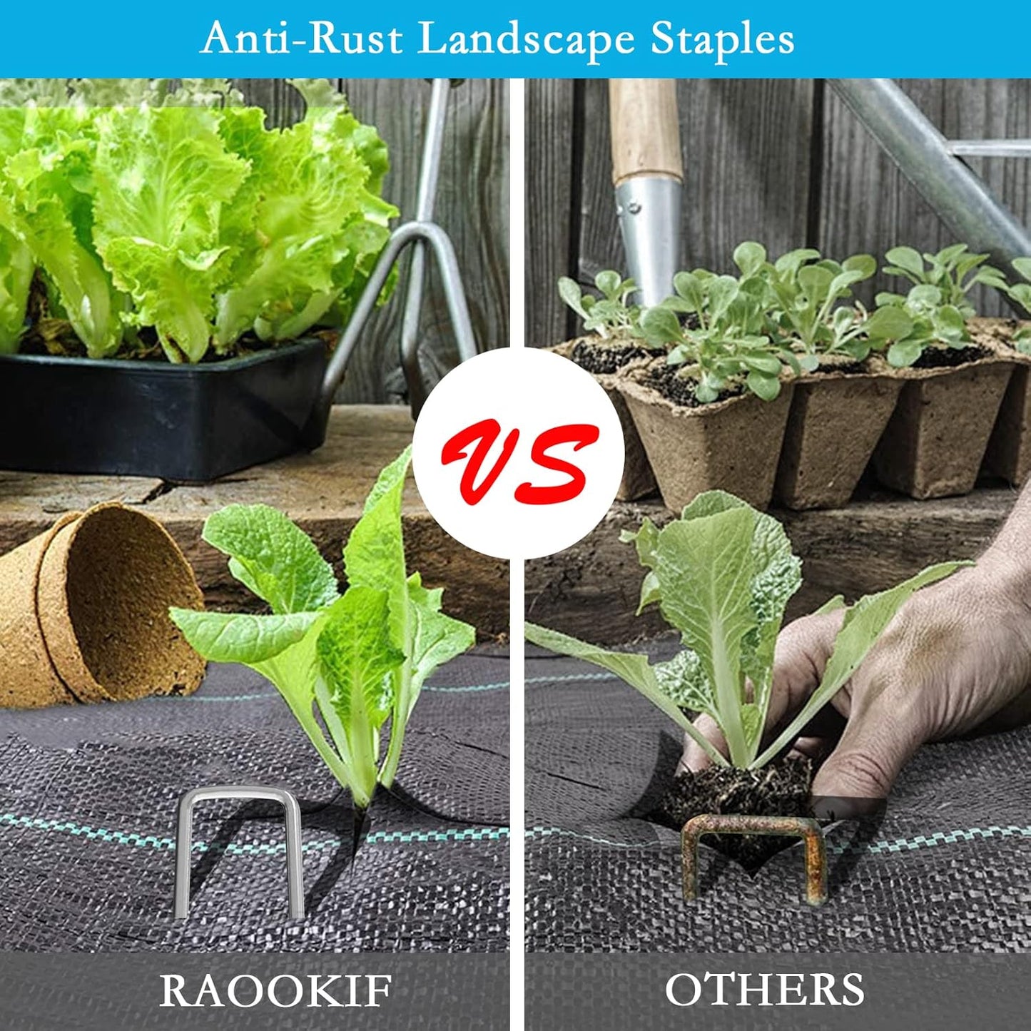 RAOOKIF 8 Inch Galvanized Garden Landscape Staples Stakes, 20/50/100/200Pcs Garden Metal Stakes, 11 Gauge Heavy Duty Ground Stakes for Decoration, Fence Stakes Lawn Stake, Fabric Pins (50, 8 Inch)