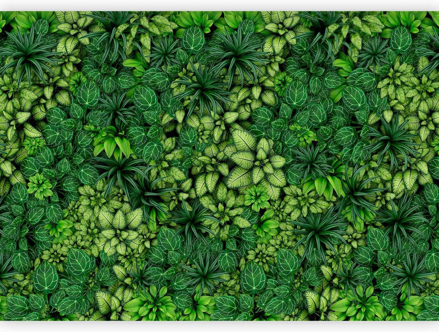 artgeist Premium Wall Mural Plants 79x55 in - XXL Non-Woven Wallpaper Fleece Wall Decor Photo Print Picture Image Design Nature Botanics Tropical Leaves b-B-0601-a-a
