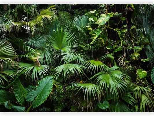 artgeist Premium Wall Mural Tropical 177x124 in - XXL Non-Woven Wallpaper Fleece Wall Decor Photo Print Picture Image Design Home b-B-0312-a-a