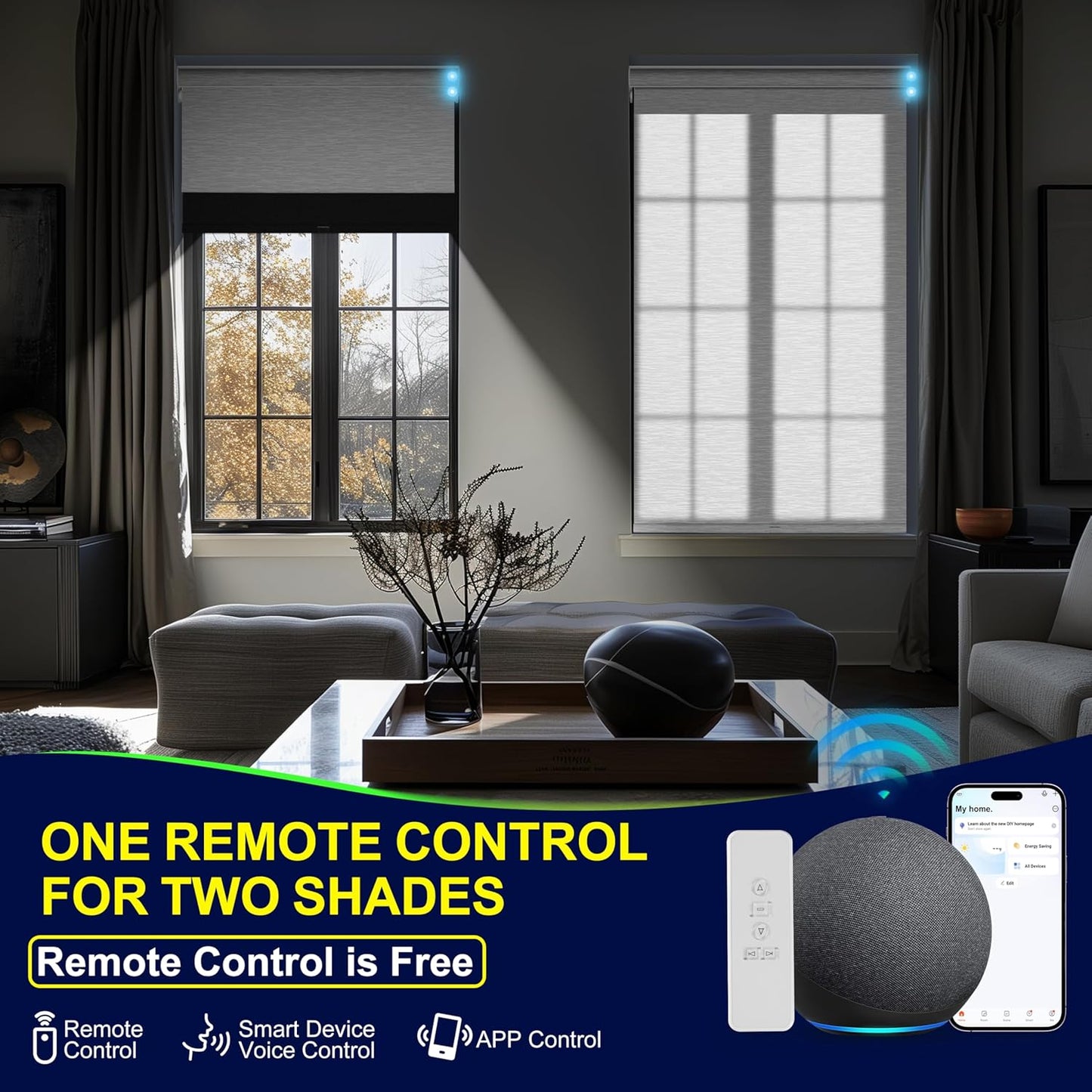 BERISSA Motorized Blinds with Remote,Dual Roller Shades,Blackout&Light Filtering Smart Blinds for Windows,Remote Control,Customized Automatic Blinds,Electric Blinds with USB/Solar Pannel.Custom Color