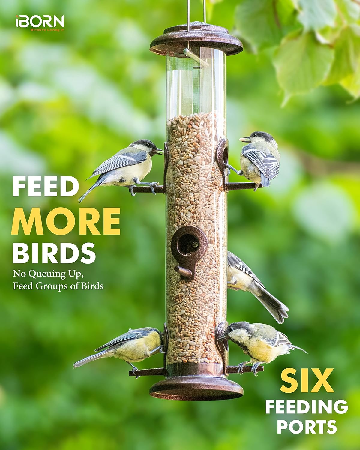 iBorn Metal Bird Feeder Hanging Wild Bird Seed Feeder for Mix Seed Blends Heavy Duty All Metal Coffee Finish,14 Inch 6 Port,Pack of 2