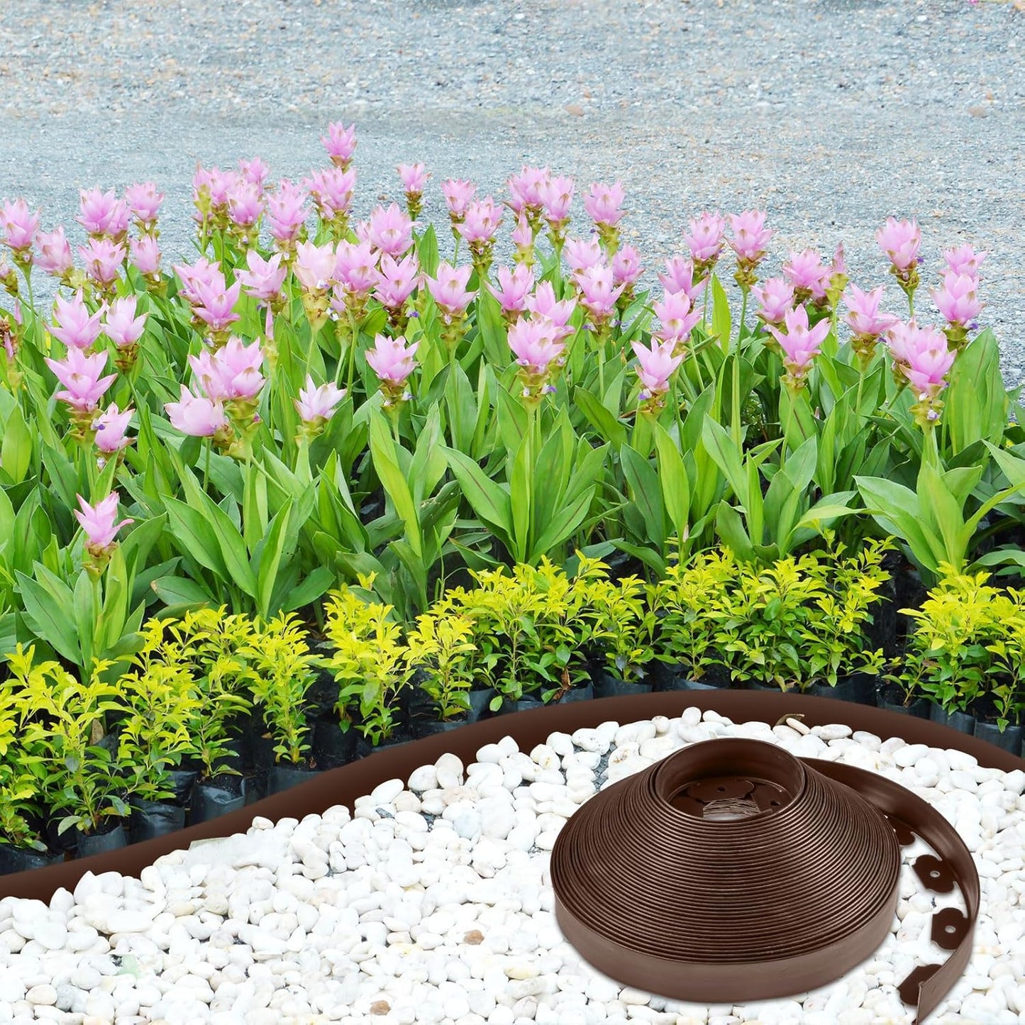 Sasylvia 2'' x 200' Landscape Edging Kit Edging Border Coil Include Anchoring Spikes 10 Connectors Plastic Garden Border for Lawn Garden Grass Yard Home(Brown)