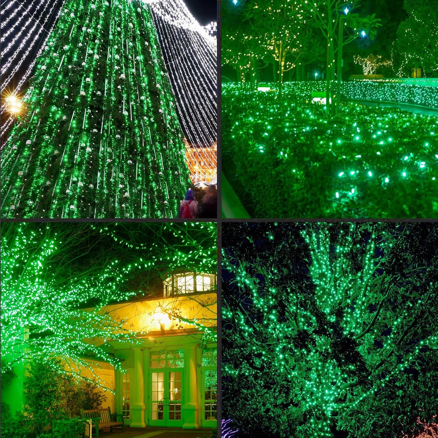 600LED (12pk of 50L) String Lights,LED Christmas Lights, 6" SPACING,Green Wire,Green