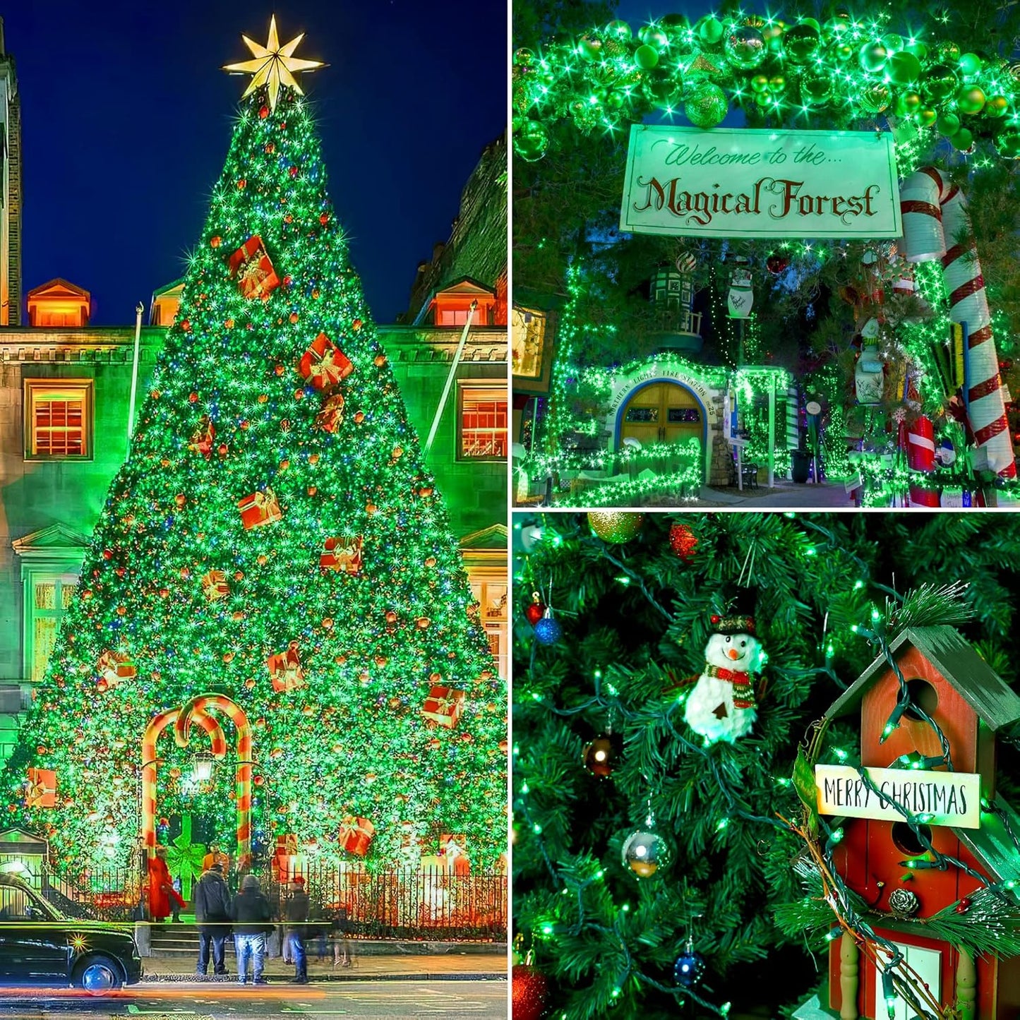 woohaha Christmas String Lights, 120V UL Certified 2PACK 50 Count Incandescent Clear Mini Green Wire Fairy Light, Xmas Tree Lights for St. Patrick's Day Patio Garden Outdoor Indoor, Green