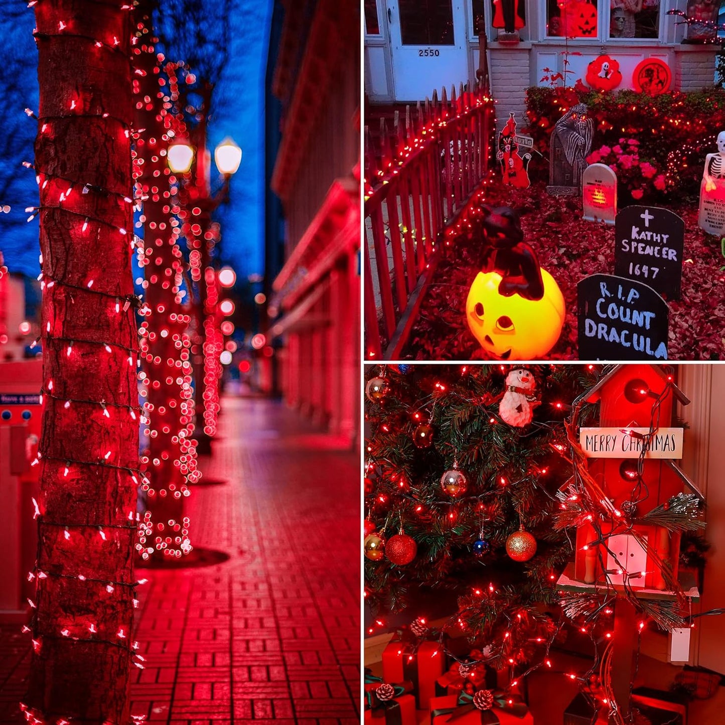 Christmas Lights Indoor Outdoor, 2PACK 13FT 50-count Lights Incandescent Mini Halloween String Light, 120V UL Certified Green Wire Light for Xmas Tree, Patio, Holiday, Party, Home, Garden Decor,Red