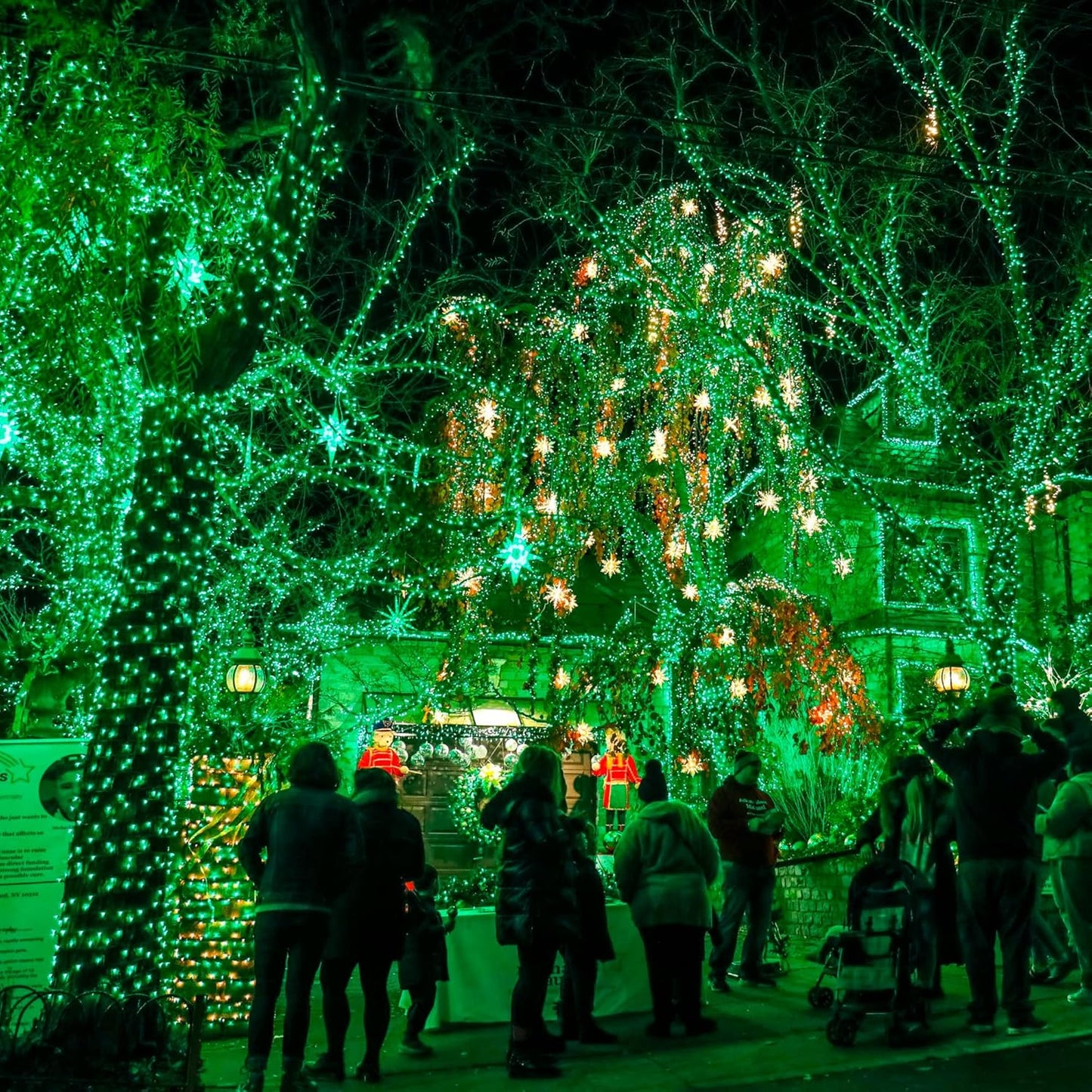 Dazzle Bright Fairy Lights Battery Operated, 2 Pack Total 40FT 120LED Silver Wire Waterproof String Lights, Christmas St. Patrick's Day Decorations for Indoor Outdoor Bedroom Yard Decor, Green